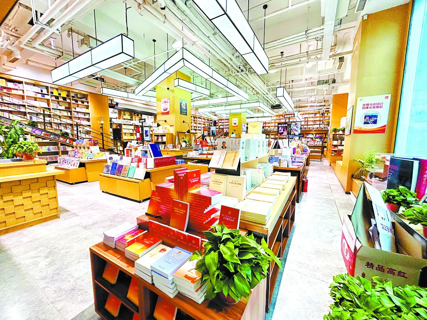 1764852469839066776.jpeg 1764852469839066776.jpeg